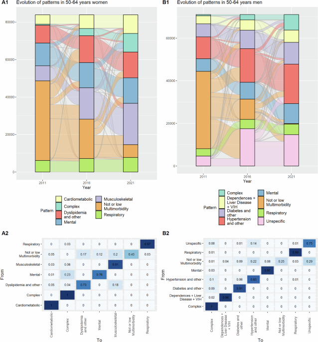 Dynamics of multimorbidity patterns in older population across ...