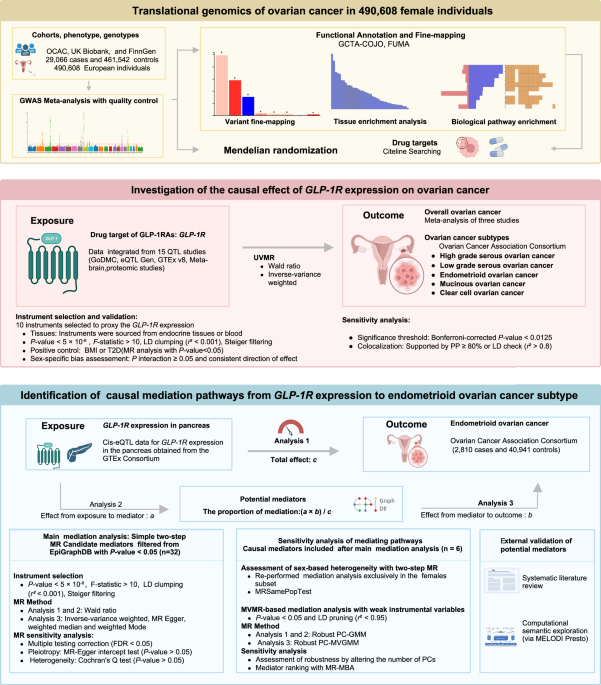 glp 1 help with menopause GLP-1 Microdosing for Perimenopause and Menopause: A Hormone-Aware  Metabolic Framework