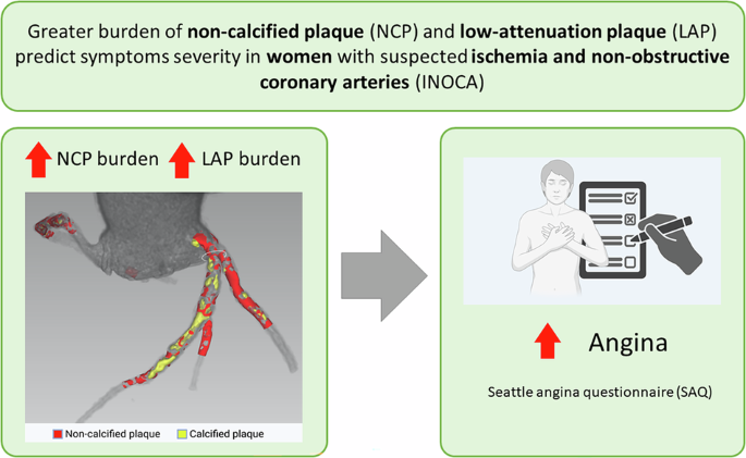 Artificial intelligence-enabled plaque characterization from coronary computed tomography establishes basis of angina in women with nonobstructive atherosclerosis