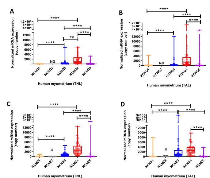 KV7 channel activation inhibits human and murine myometrium contractility and delays delivery in a mouse model of preterm birth - Communications Medicine