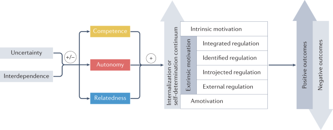 Understanding and shaping the future of work with self-determination theory  | Nature Reviews Psychology