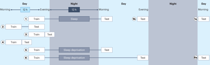 can you take sermorelin and ipamorelin together ipamorelin best time to take Sermorelin vs BPC-157