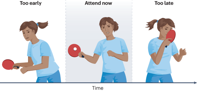 Visual temporal attention from perception to computation | Nature 