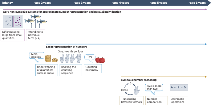 Influences of spoken and signed language on numerical cognition - Nature Reviews Psychology