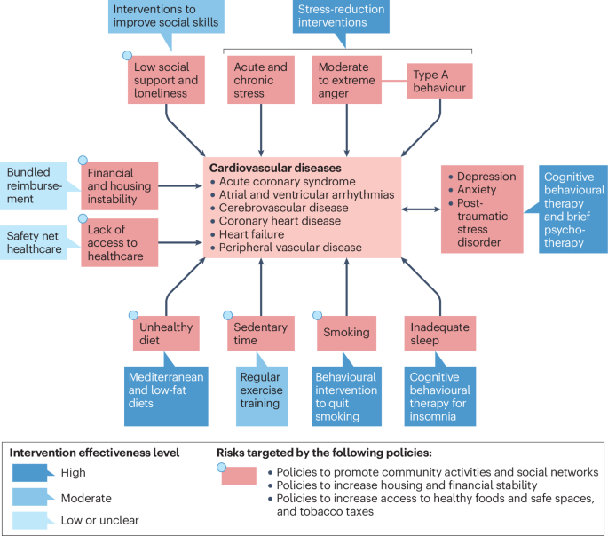 Advancing implementation of behavioural medicine in cardiovascular care Advancing implementation of behavioural medicine in cardiovascular care