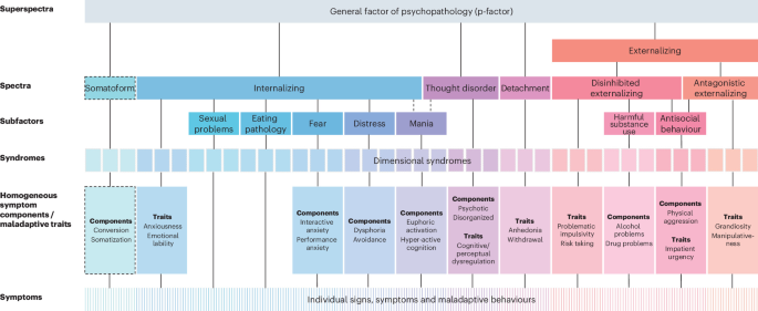 Integrating the Hierarchical Taxonomy of Psychopathology and computational psychiatry