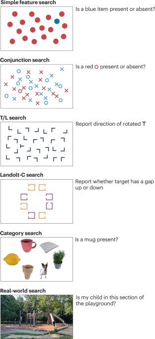 The role of long-term memory, flexible templates and learning in attentional guidance