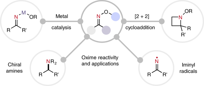 Reactivity of oximes for diverse methodologies and synthetic applications |  Nature Synthesis