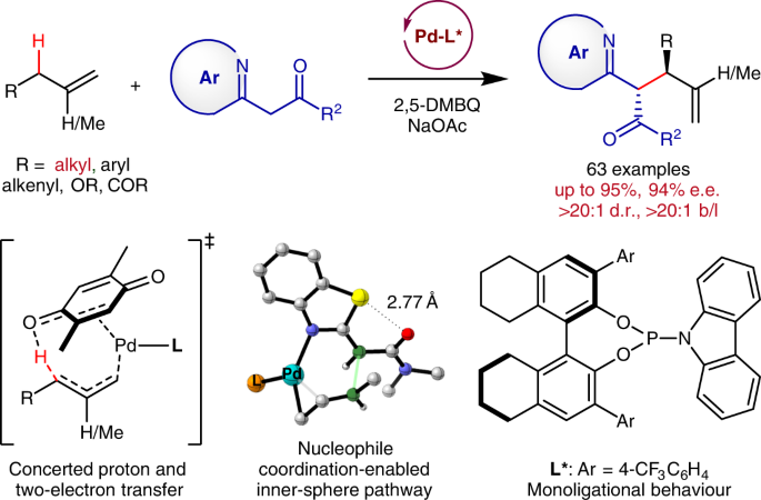 Palladium-catalysed branch- and enantioselective allylic C–H alkylation of  α-alkenes | Nature Synthesis