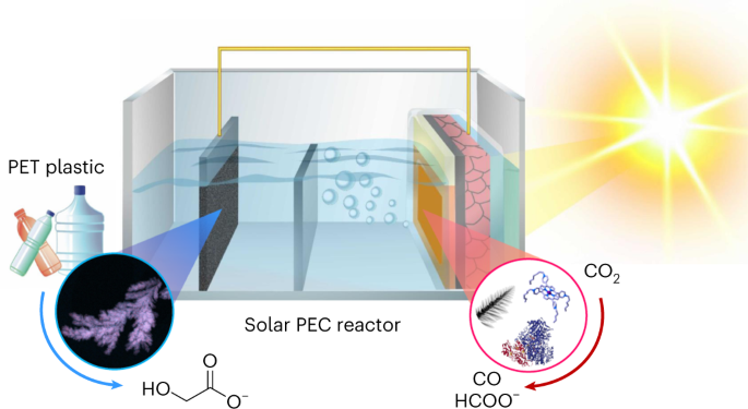 Photoelectrochemical CO2-to-fuel conversion with simultaneous