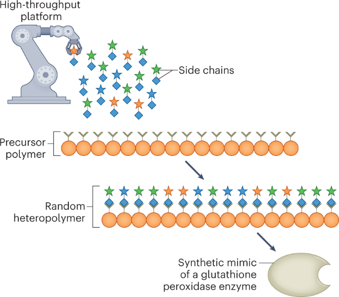 Searching for protein mimicry
