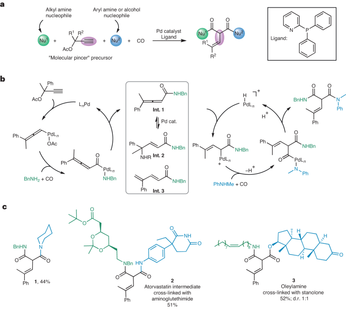 Two nucleophiles take turns | Nature Synthesis