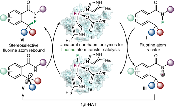 Biocatalytic enantioselective C(sp3)–H fluorination enabled by 