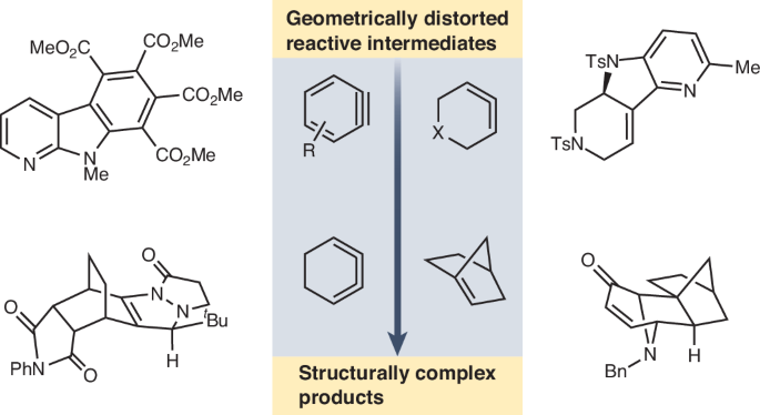 Geometric distortion as an enabling tool for organic synthesis | Nature ...
