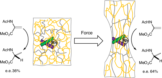 Strain-dependent enantioselectivity in mechanochemically coupled catalytic hydrogenation - Nature Synthesis
