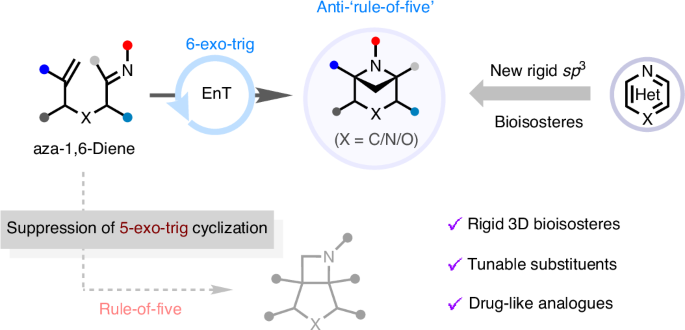 Breaking the ‘rule-of-five’ to access bridged bicyclic heteroaromatic bioisosteres - Nature Synthesis