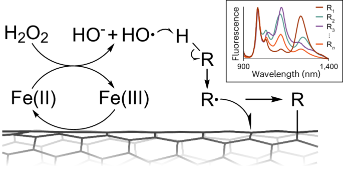 Handle-free attachment of small molecules on single-walled carbon nanotubes