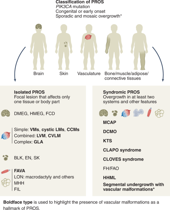 When, where and which PIK3CA mutations are pathogenic in congenital  disorders | Nature Cardiovascular Research