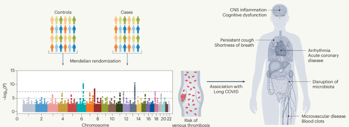 Linking thromboembolism to the pathogenesis of long COVID | Nature ...