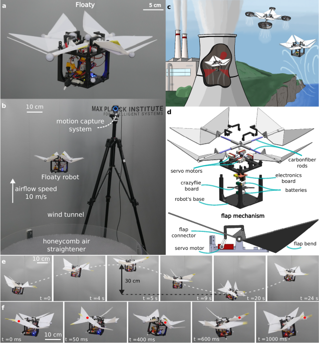 Embodied intelligence for sustainable flight: a soaring robot with active morphological control - npj Robotics