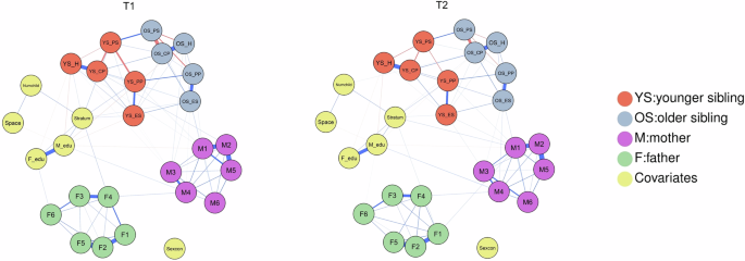 Family dynamics on mental health: a network analysis