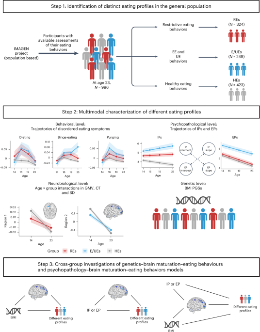 Relationships of eating behaviors with psychopathology, brain maturation and genetic risk for obesity in an adolescent cohort study Relationships of eating behaviors with psychopathology, brain maturation and genetic risk for obesity in an adolescent cohort study