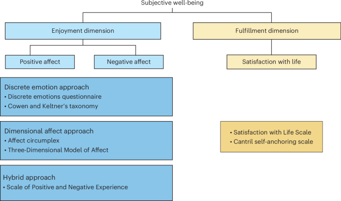 Assessing well-being in clinical research and treatment