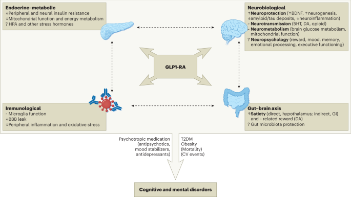 whats glp 1 GLP-1 Medications Near Me in Lawrenceville, GA