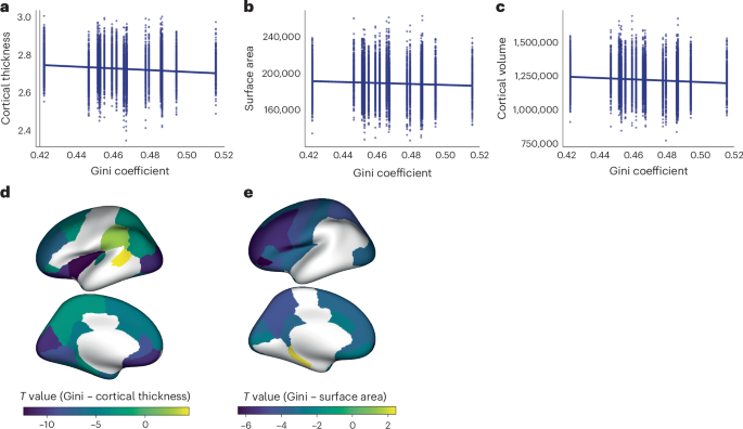 Macroeconomic income inequality, brain structure and function, and mental health
