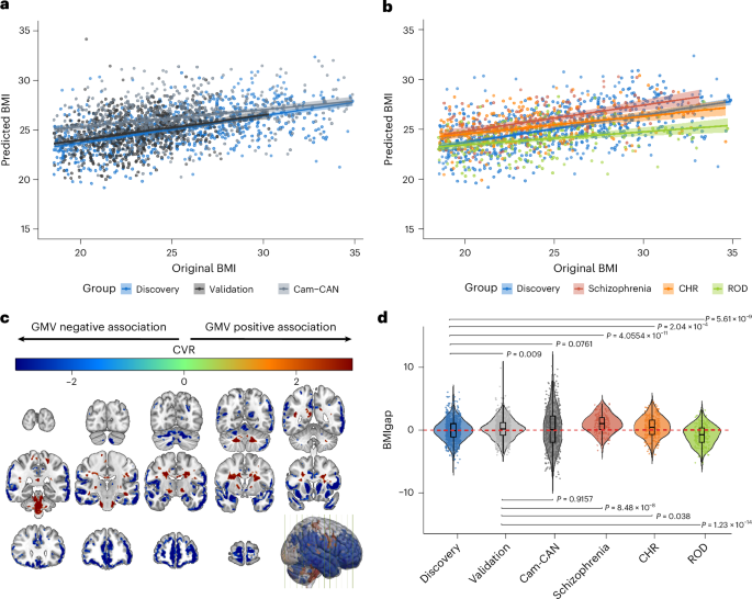 The BMIgap tool to quantify transdiagnostic brain signatures of current and future weight