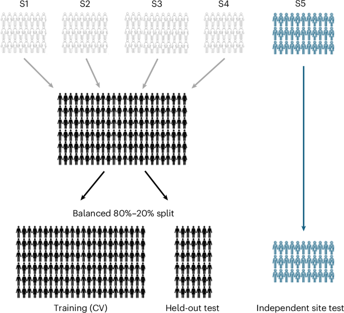 Limited generalizability of dynamic fMRI correlates of adolescent rumination - Nature Mental Health