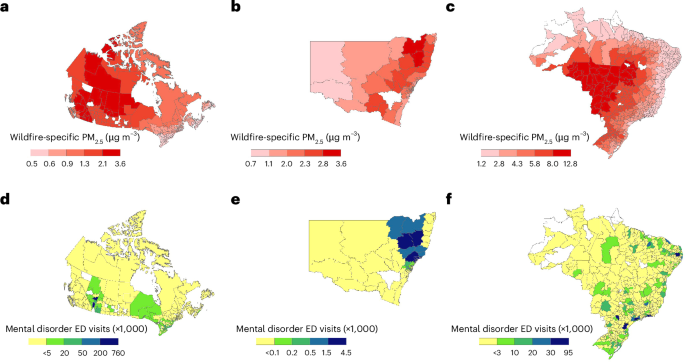 Wildfire-sourced fine particulate matter and mental disorders in children and adolescents