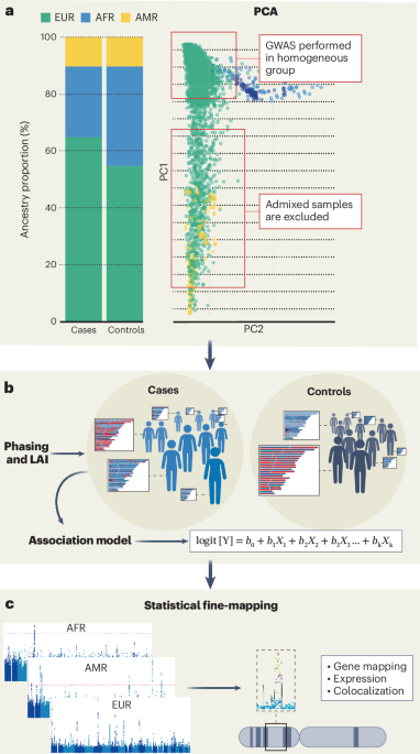 Shaping the future of ADHD genetic research through ancestral diversity - Nature Mental Health