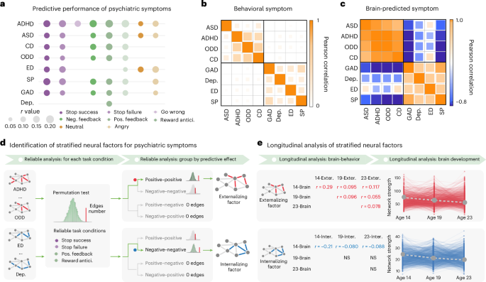 Hierarchical neurocognitive model of externalizing and internalizing comorbidity - Nature Mental Health