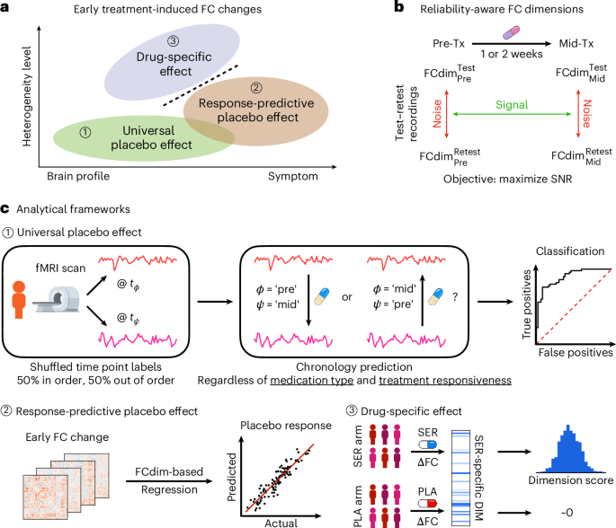 Early brain functional connectivity changes induced by antidepressants and placebo