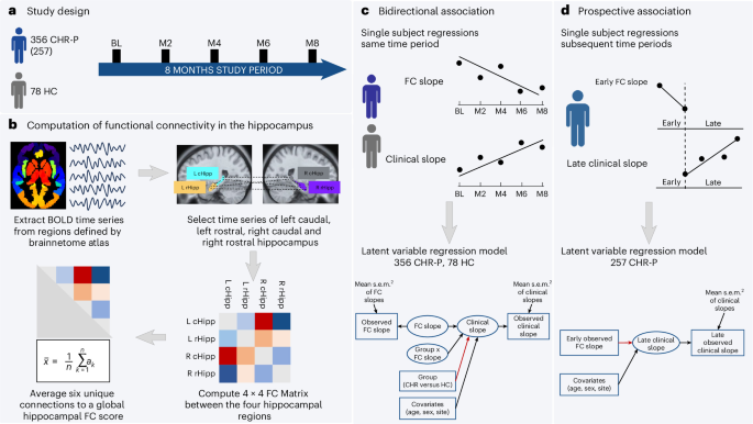 Connectivity within the hippocampus as a neural marker of early clinical trajectories in the psychosis risk state