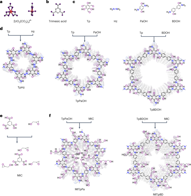 High-capacity uranium extraction from seawater through constructing synergistic multiple dynamic bonds