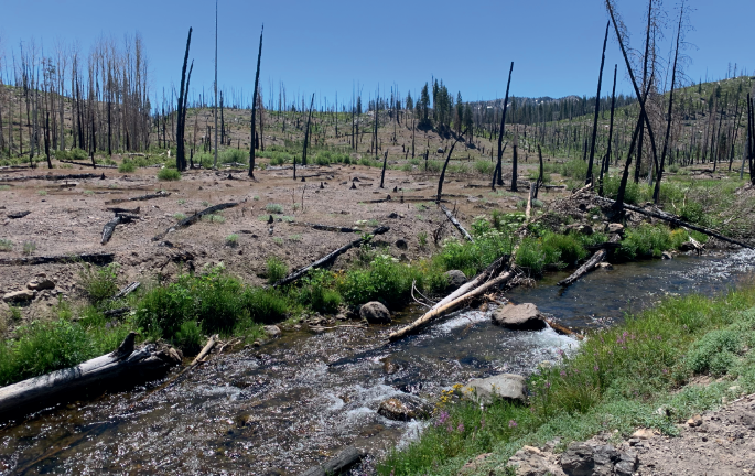 Climate science and the case of the missing moisture - Nature Water