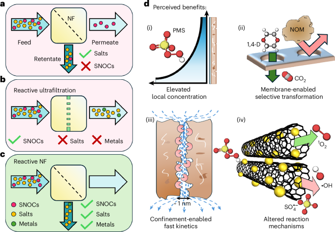 Revolutionizing Water Treatment: The Science Behind Catalytic Reactive Membranes