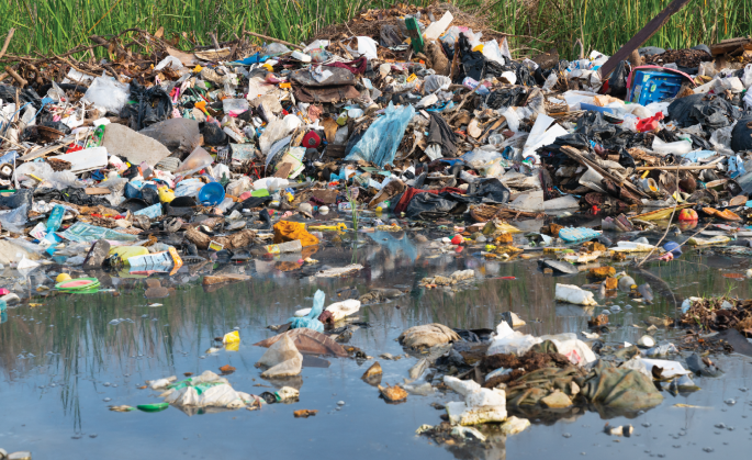 Good health starts with a healthy environment