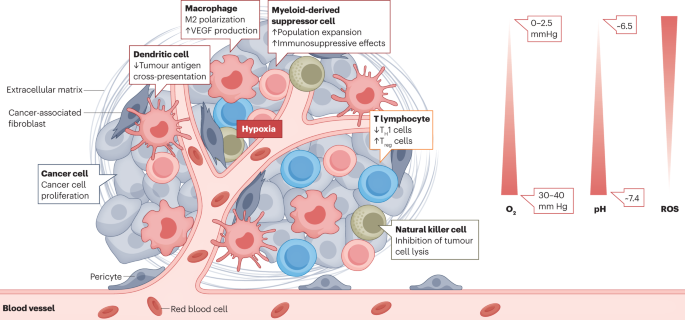 Biomaterials tools to modulate the tumour microenvironment in immunotherapy 