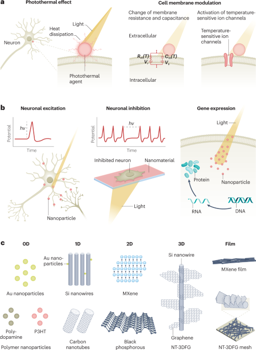 Neural modulation with photothermally active nanomaterials