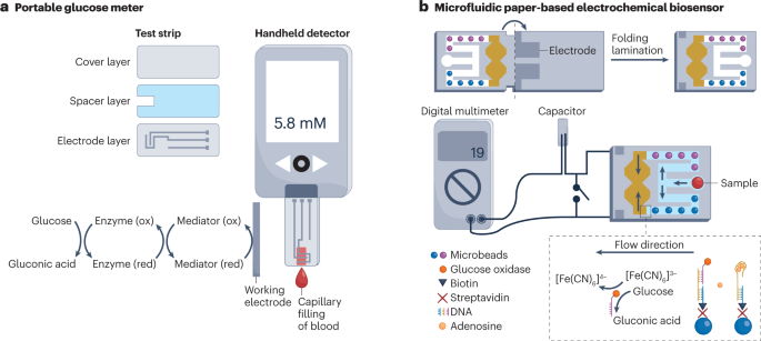 DNAzyme-Based Biosensors: Immobilization Strategies, Applications, and  Future Prospective