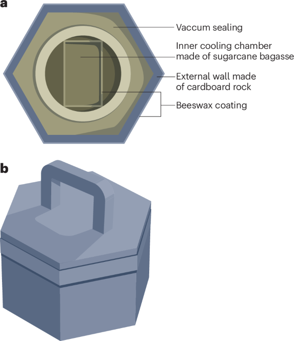 A biorefrigerator for vaccine cold storage in energy-scarce regions