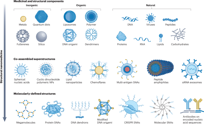 The emerging era of structural nanomedicine
