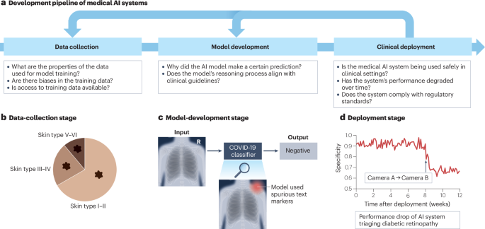 Transparency of medical artificial intelligence systems