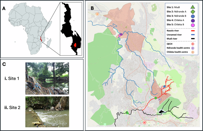 Environmental hazards from pollution of antibiotics and resistance-driving chemicals in an urban river network from Malawi
