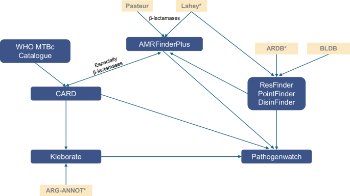 Antimicrobial resistance databases: opportunities and challenges for ...