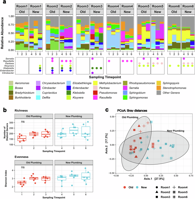 Biofilm removal in hospital sink drains drives unintended surges in antibiotic resistance