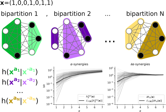 Backbone Fragmentation A scalable synergy-first backbone decomposition of higher-order ...